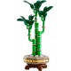 LEGO Botanical Collection 10344 Dracena sandera