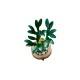 LEGO Botanical Collection 10344 Dracena sandera