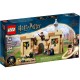 ZESTAW LEGO HARRY POTTER 76395 Pierwsza lekcja latania