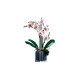 LEGO CREATOR EXPERT 10311 Orchidea