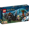 LEGO HARRY POTTER 76400 Testrale i kareta z Hogwartu